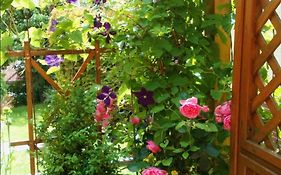 Apartment Mit Gartenblick